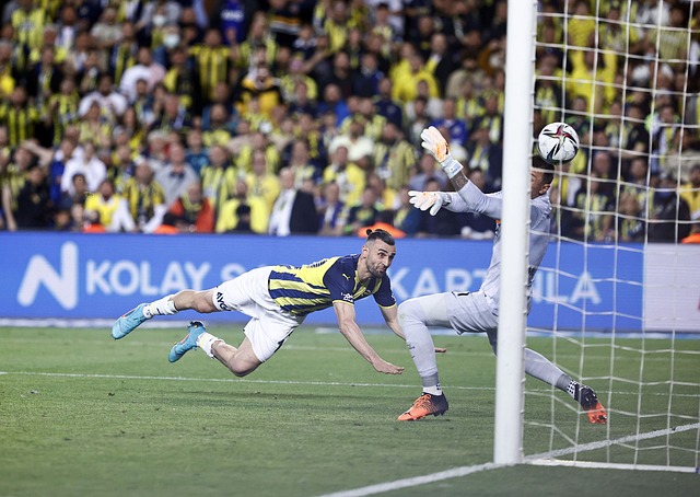 攻和坚韧的 攻和坚韧的