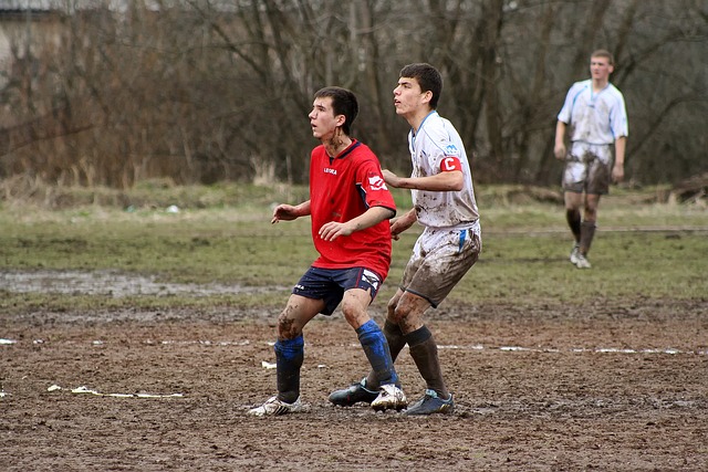 您将收获一 您将收获一