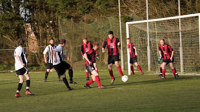 一票难求!国足与澳大利亚比赛或将创下观众纪录.