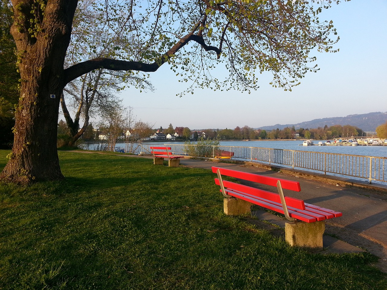 東亞外︱韋特領中華台北挫蒙古迎倒戈戰 評港隊易教、球迷識波.
