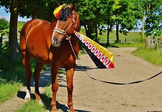 旧暴露无遗 旧暴露无遗